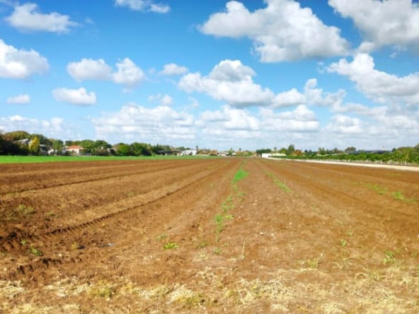 מה זה נחלה מה זה נחלה