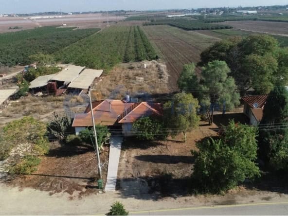 בר רשות בר רשות