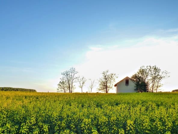 האם אפשר לפצל נחלה האם אפשר לפצל נחלה