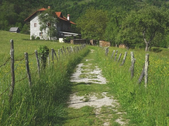 פיצול בנחלה פיצול בנחלה
