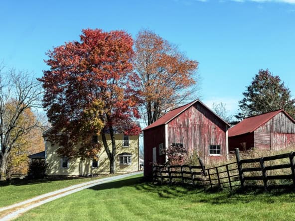 נחלות למכירה בשרון נחלות למכירה בשרון