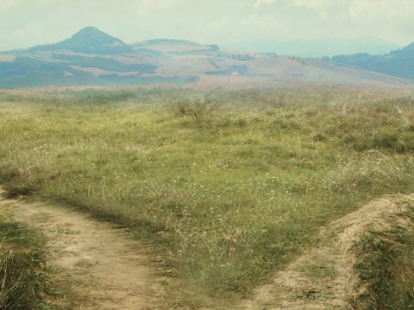 פיצול נחלה במושב פיצול נחלה במושב